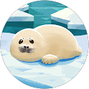 Adrian Komadina profile picture