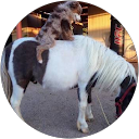 Aaron profile picture